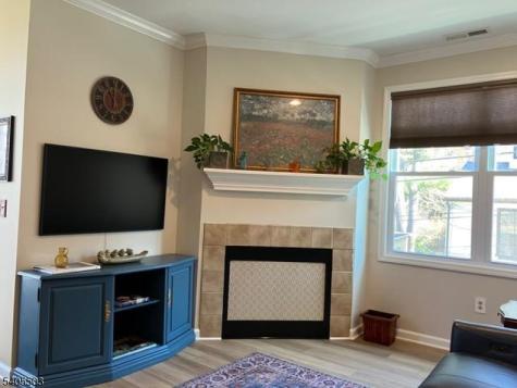 8 Raritan Pointe Lambertville NJ 08530