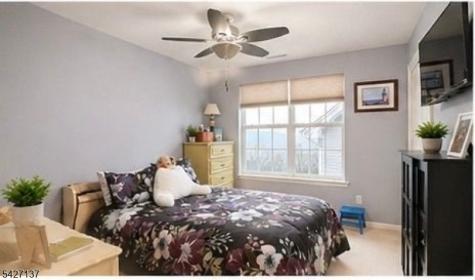 162 Sowers Drive Mount Olive NJ 07840
