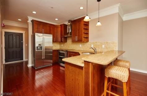 10 Elmer St, Unit H Madison NJ 07940