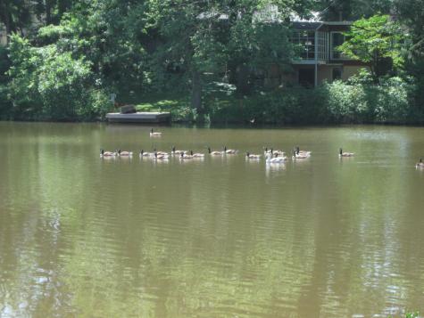 45 Lakeside Dr, 2nd Floor Piscataway NJ 08854