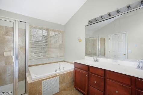 171 Patriot Hill Drive Bernards NJ 07920