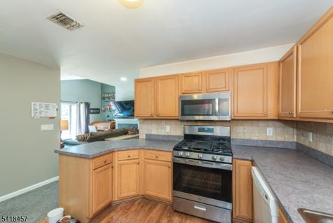 127 Falcon Ridge Way N Hamburg NJ 07419
