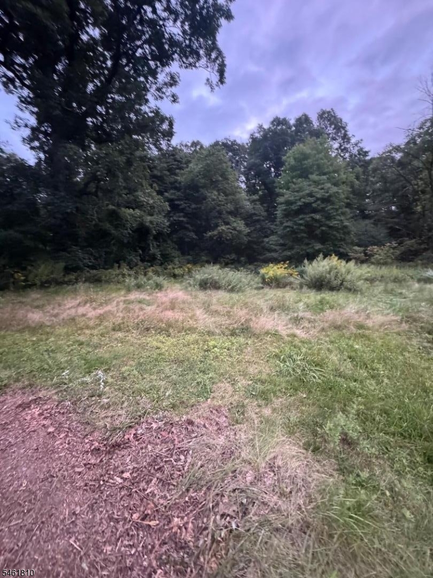 264 Cozy Lake Road Jefferson NJ 07438