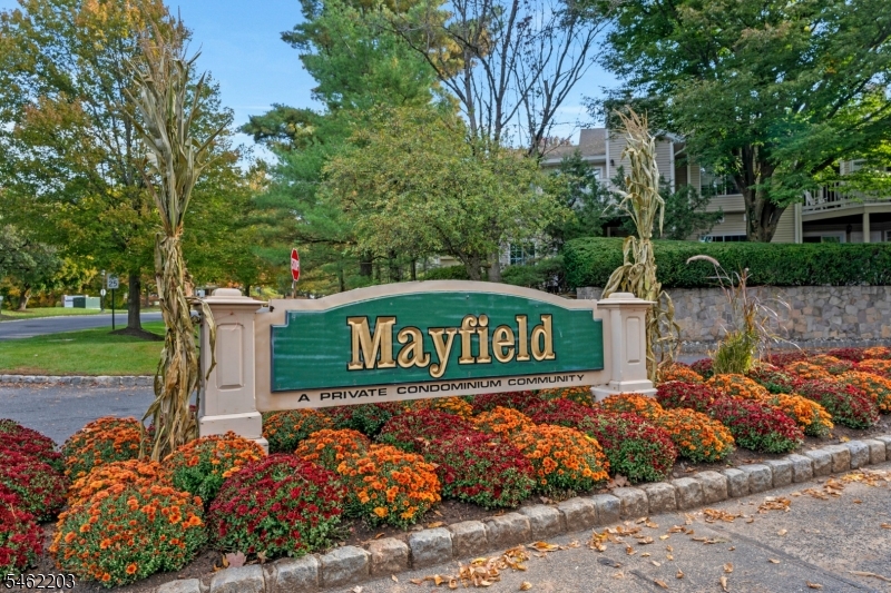 12 Tansy Court Bedminster NJ 07921