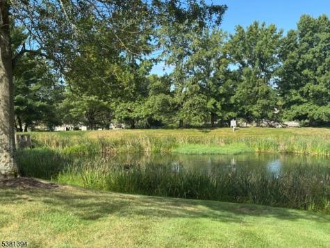 4 Woodward Ln Ondo Bernards NJ 07920