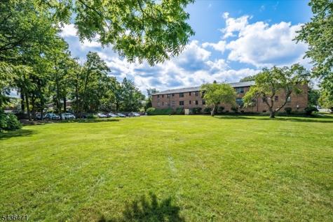 803 Mountain Avenue Springfield NJ 07081