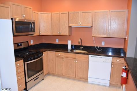 125 Springhill Drive Parsippany-troy Hills NJ 07950