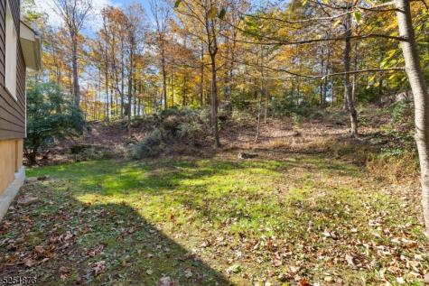 224 Mount Horeb Road Warren NJ 07059