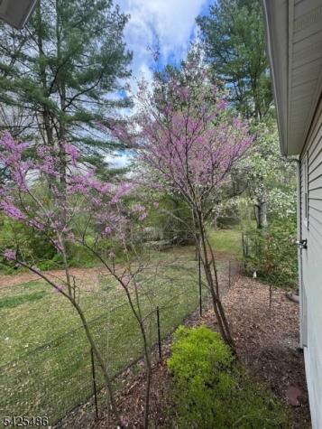 48 Jericho Road High Bridge NJ 08829