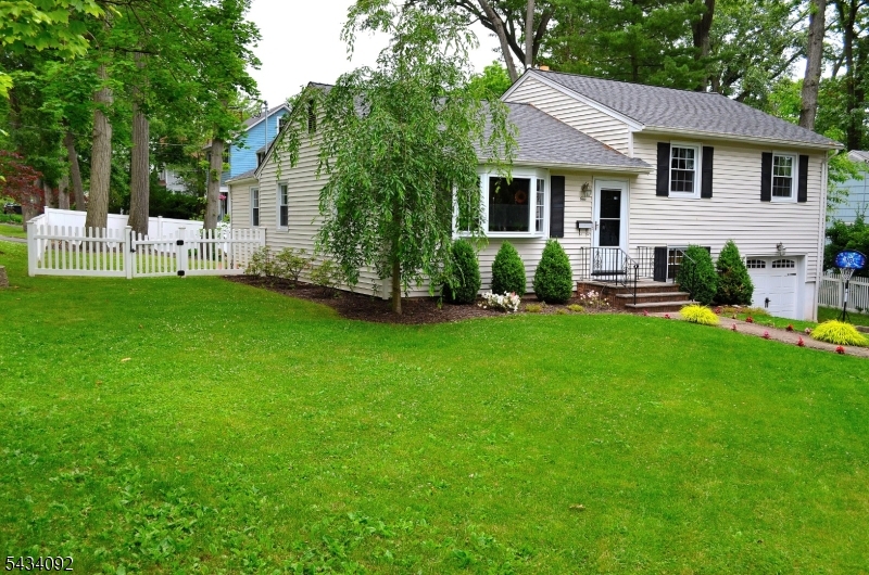 1 Willow Street Chatham NJ 07928
