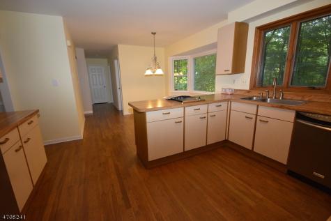 5 Deer Run Drive Randolph NJ 07869