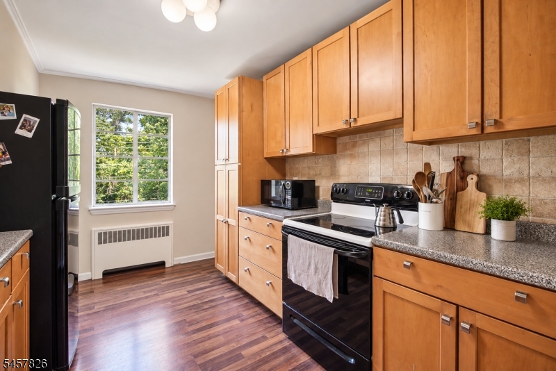 93 Troy Drive Springfield NJ 07081