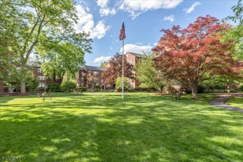 217 Prospect Avenue Cranford NJ 07016