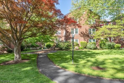 217 Prospect Avenue Cranford NJ 07016