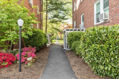 217 Prospect Avenue Cranford NJ 07016