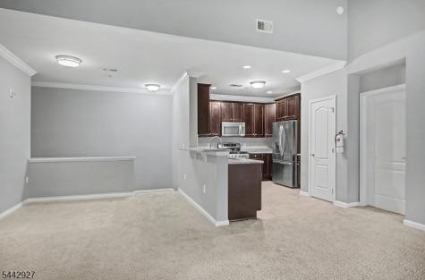 1409 Brook Hollow Drive Hanover NJ 07981