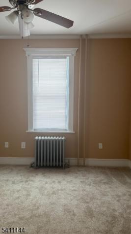 806 Roselle Street Linden NJ 07036