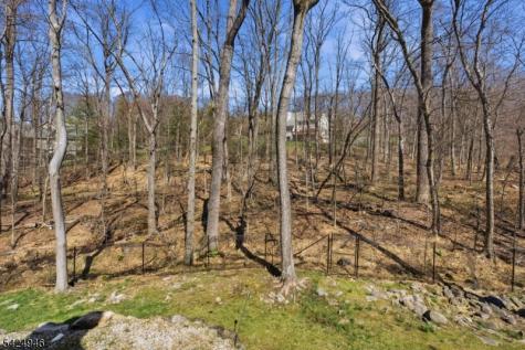 11 Rosewood Lane Denville NJ 07834
