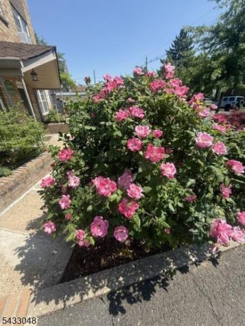 490 Union Avenue Rutherford NJ 07070