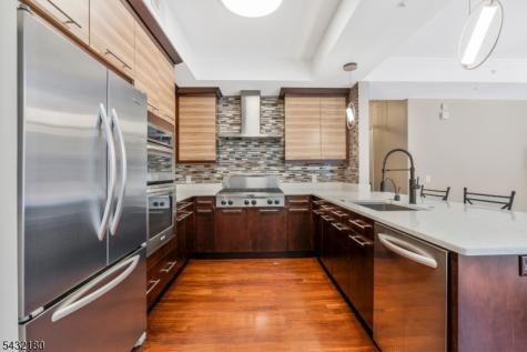 40 W. Park Place Unit 204 Morristown NJ 07960