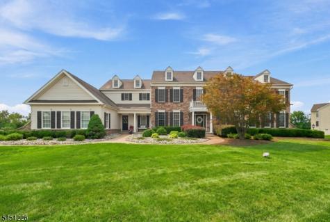 3 Balmoral Drive Alexandria NJ 08867
