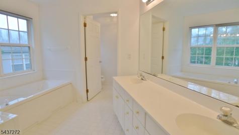 1310 Grandview Court Hanover NJ 07981