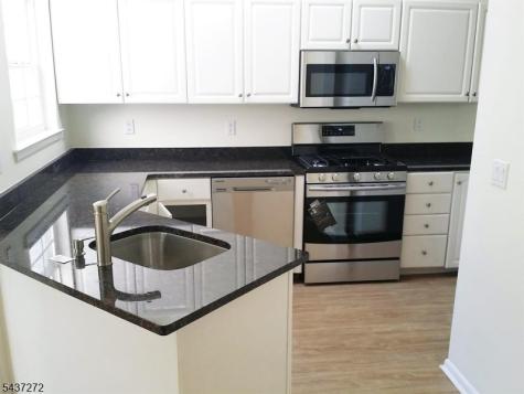 1310 Grandview Court Hanover NJ 07981