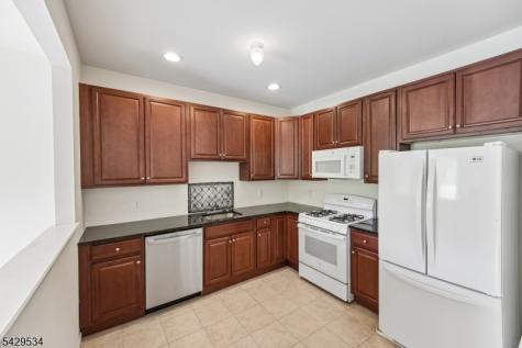 26 Decroce Court Parsippany-troy Hills NJ 07054