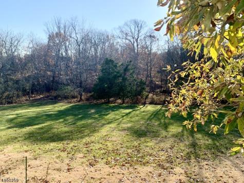 9 Collins Drive Hillsborough NJ 08844