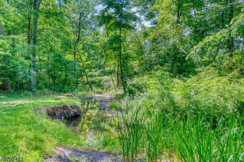 31 Shephard Way Bernards NJ 07920