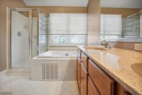 220 Patriot Hill Drive Bernards NJ 07920