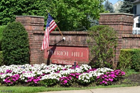 220 Patriot Hill Drive Bernards NJ 07920