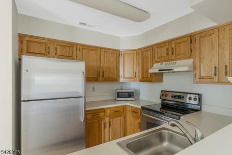 44 Spruce Court Bedminster NJ 07921