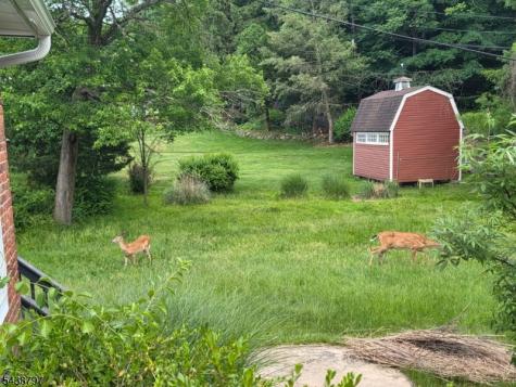 355 Rifle Camp Road Woodland Park NJ 07424