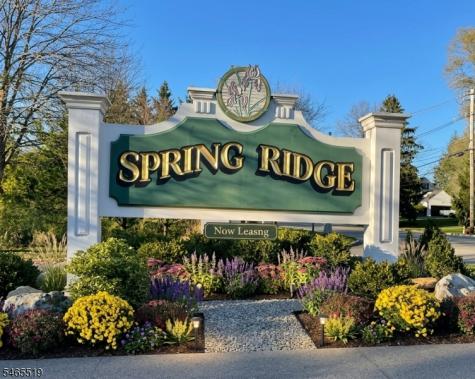 77 Potomac Drive Bernards NJ 07920
