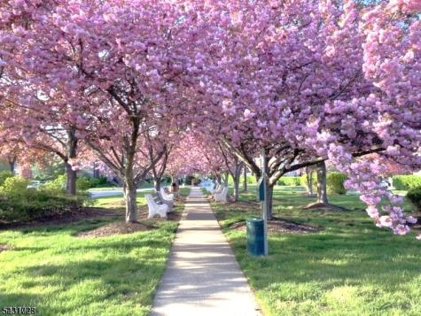 38 Park Street Florham Park NJ 07932