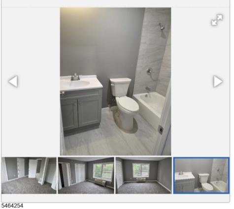 517 Chestnut Street Union NJ 07083