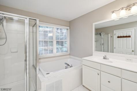91 Patriot Hill Drive Bernards NJ 07920