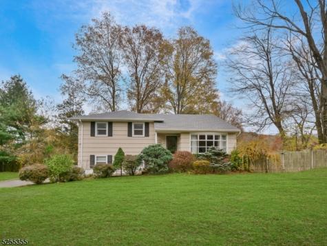 69 Intervale Road Parsippany-troy Hills NJ 07005