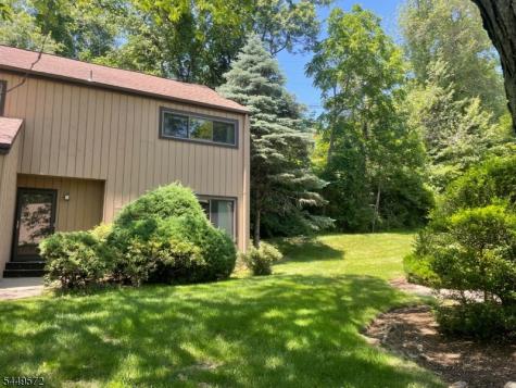 Sycamore Lane Harding NJ 07960