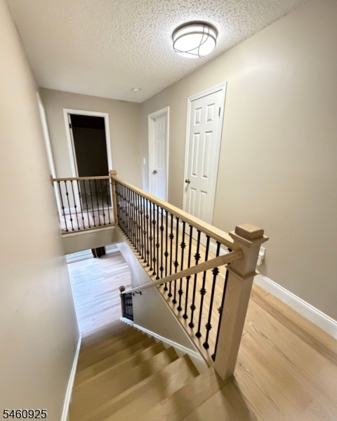212 Strull Court Bridgewater NJ 08807