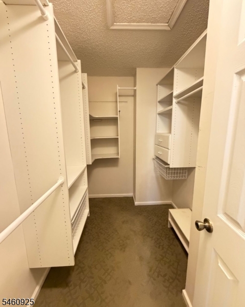 212 Strull Court Bridgewater NJ 08807