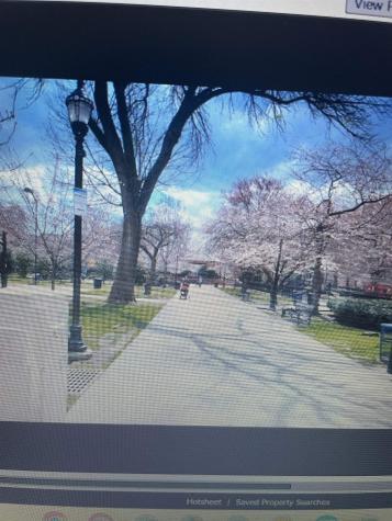 264 9th Street Jersey City NJ 07302