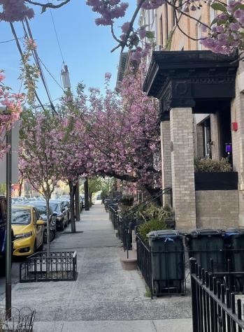 1009 Willow Avenue Hoboken NJ 07030