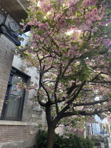 1009 Willow Avenue Hoboken NJ 07030