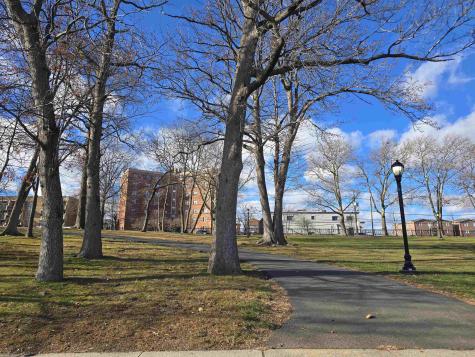 8811 Bergenline Avenue North Bergen NJ 07047
