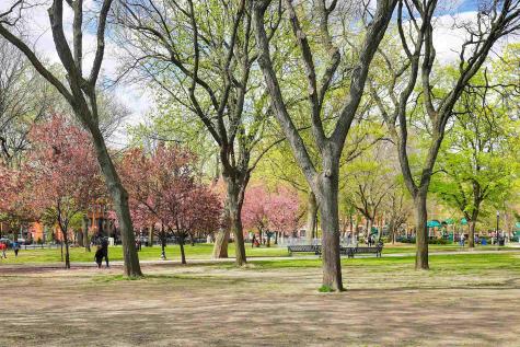 647 Jersey Avenue Jersey City NJ 07302