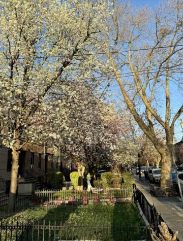 298 4th Street Jersey City NJ 07302