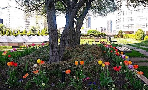 7002 Boulevard East Guttenberg NJ 07093