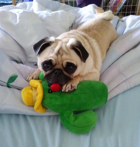 7002 Boulevard East Guttenberg NJ 07093